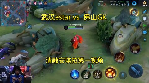 鹈鹕 鹈鹕