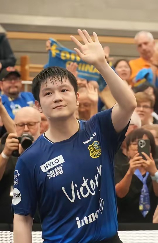 他们把内容 他们把内容